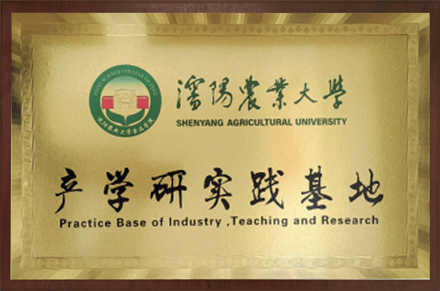 沈阳农业大学 产学研实践基地
